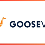 Goose vpn để chơi Go88 mượt mà